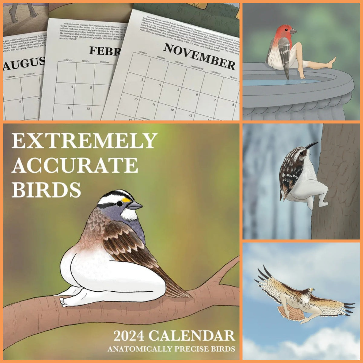 2024 Extremely Accurate Birds Calendar - Decorative Wall Monthly Calendar - Minihomy