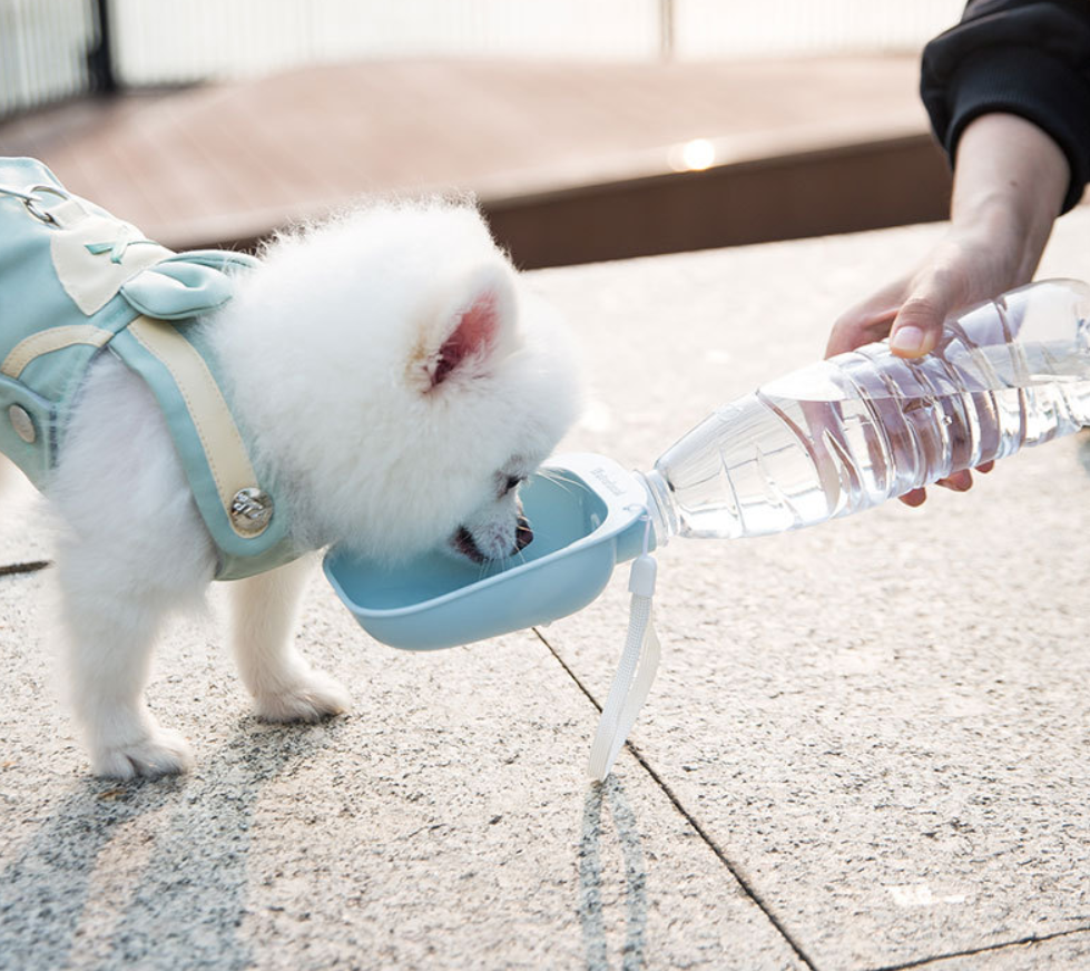 Portable drinking water bottle cup - Minihomy