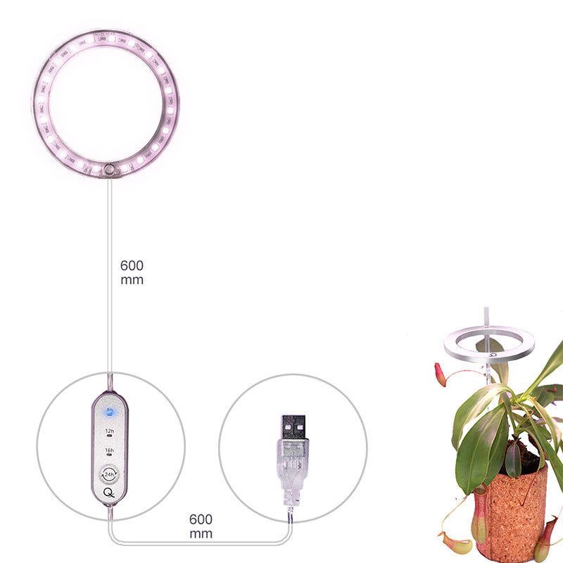 LED Grow Light Full Spectrum Angel Ring Phyto Grow Lamp USB Phytolamp