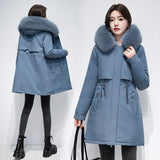 Women's Coat Winter Cotton-padded Jacket