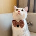 Pet Collar Puppet Cat Bow Decoration - Minihomy