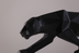 Modern Abstract Black Panther Sculpture - Minihomy