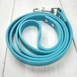 Pet Leash Collar