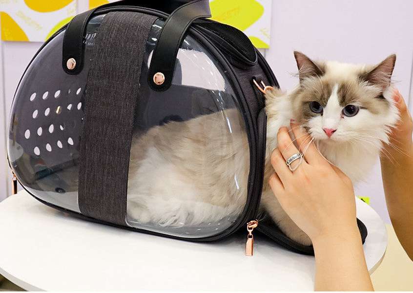 Double Fish Transparent Dog Bag Puppy Cat Cane Animal Seat Bed Backpack - Minihomy