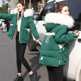 Down padded jacket women short cotton jacket - Minihomy