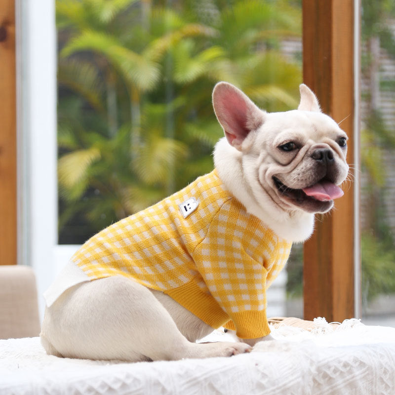 Warm Pet Jackets, Sweaters & Coats: Winter Dog & Cat Clothes