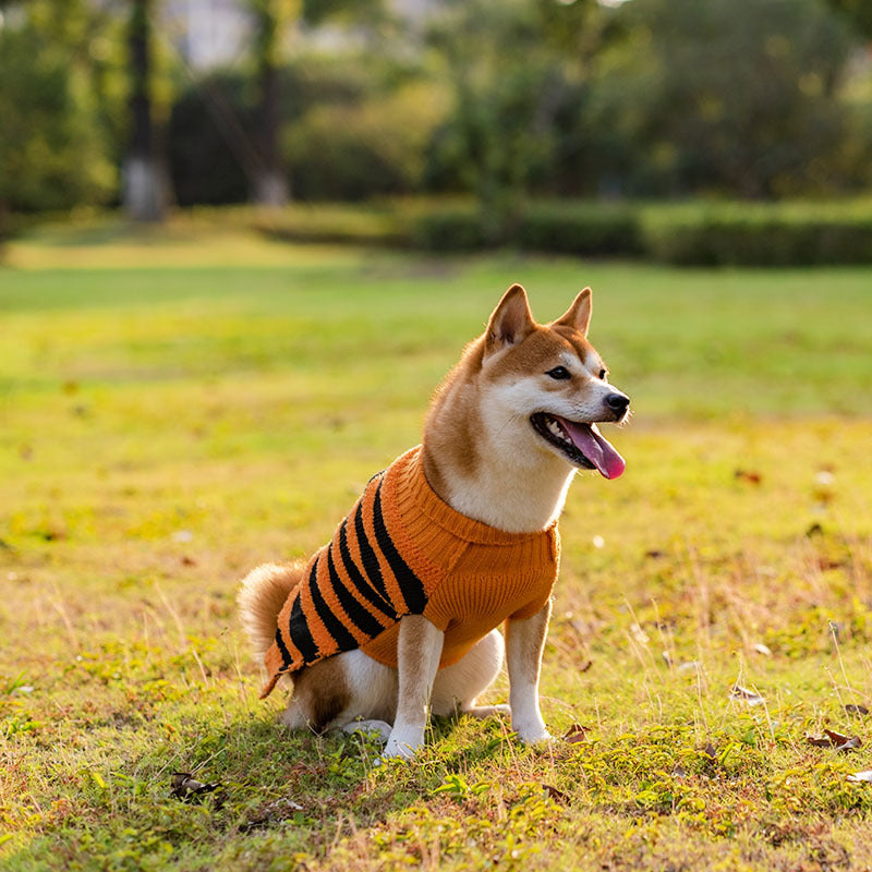 Halloween Dog Sweaters Pet Costume Teddy Warm Leisure Sweater - Minihomy