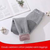 Women's Outerwear Winter Fleece-lined Thick Warm Pants