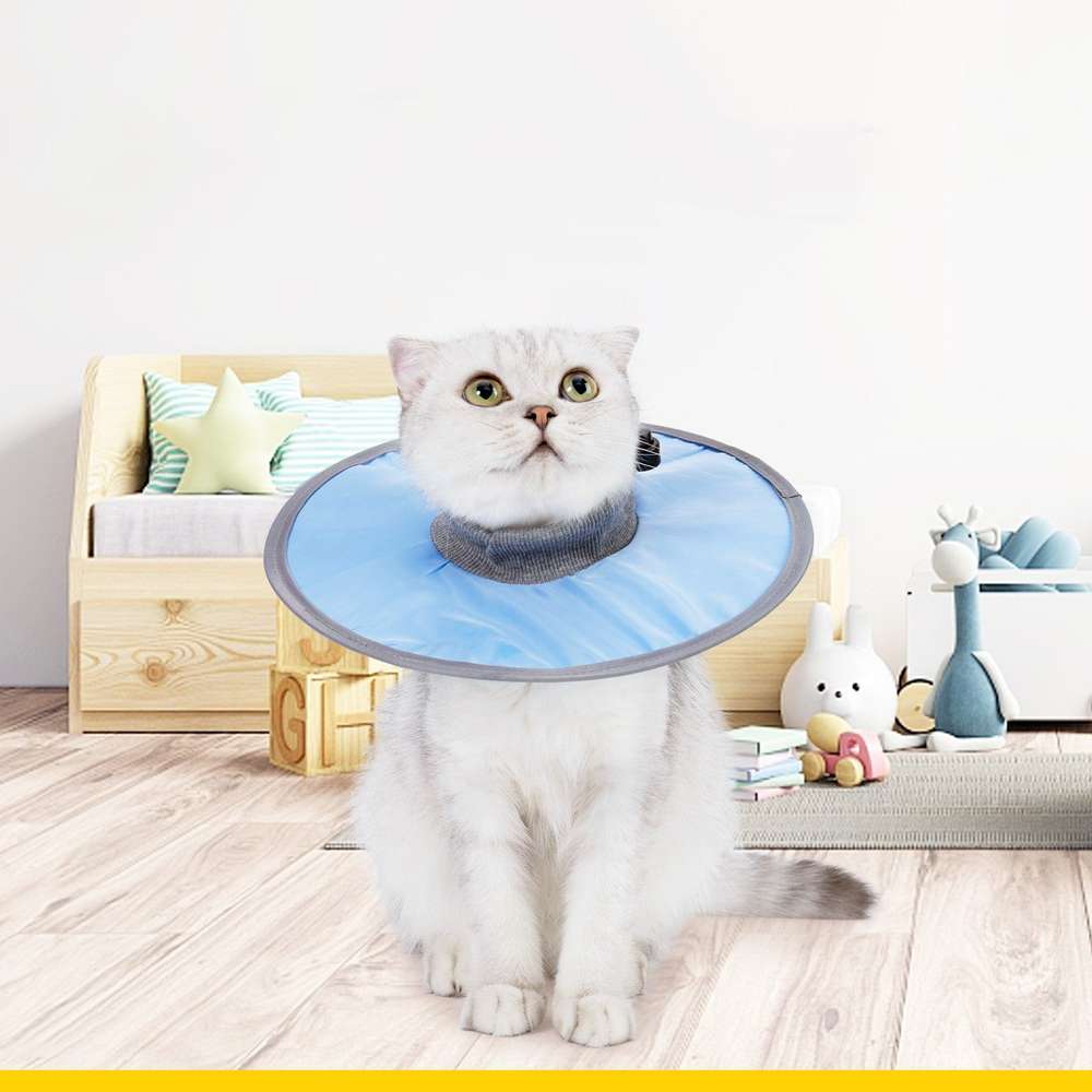 Cloth Circle Collar Pet Supplies - Minihomy