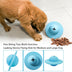 Pets Biting Toys Multi-function Leaking Device Flying Disk - Minihomy