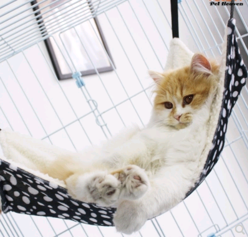 Cat cage with hammock hanging cat bed four seasons cat mat - Minihomy