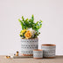 Ceramic  Flower Pots Nordic Style Geometric Flower Pots - Minihomy