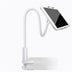 360 Degree Spiral Base Lazy Mobile Phone Tablet Stand - Minihomy