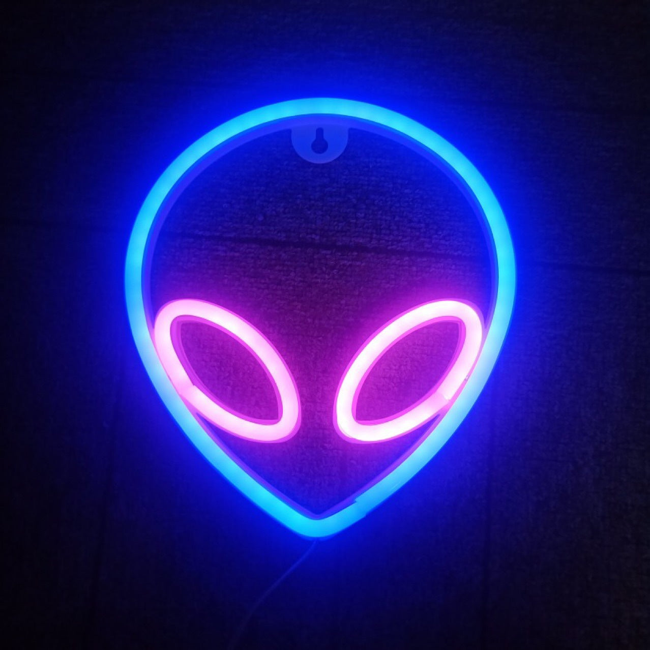 LED Wall Hanging Neon Modeling Lights - Minihomy