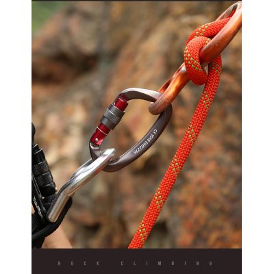 Outdoor Professional Rock Climbing Main Lock Carabiner Small D-shaped Main Lock Outdoor Quick-hanging Buckle Safety Buckle Rock Climbing Equipment