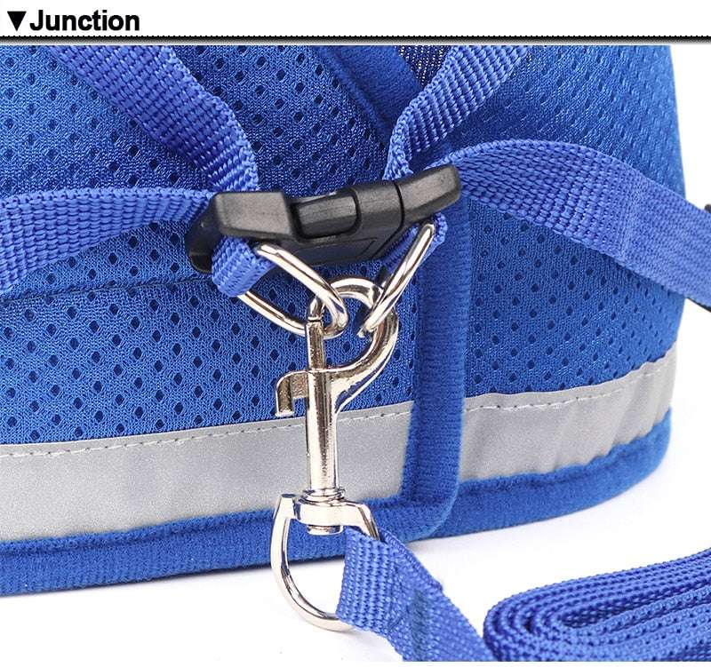 Dog Harness And Leash Set - Minihomy