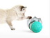 Funny Dog Treat Leaking Toy With Wheel Interactive Toy For Dogs Puppies Cats Pet Products Supplies Accessories - Minihomy