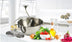 Baby food supplement  mixer high-grade 304 edible stainless steel jam vegetable blender - Minihomy