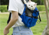 Ventilated And Breathable Pet Backpack