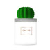 Luminous Cactus Ball Humidifier - Minihomy