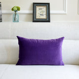 Sofa Velvet Throw Pillowcases Living room