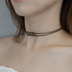 Trendy Simple Metal Clavicle Chain