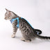 Pet chest and back leash - Minihomy