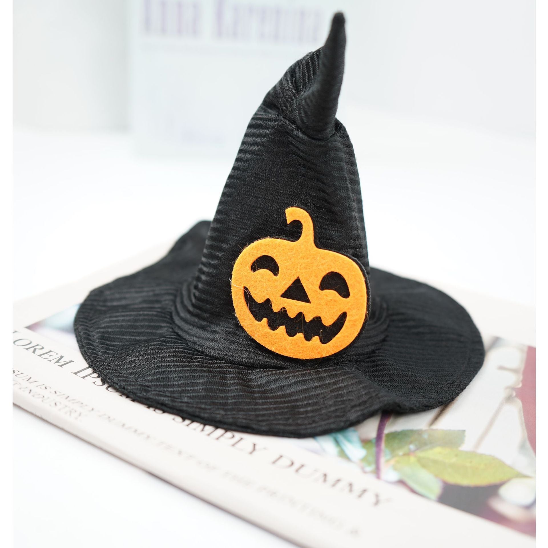 Transform Into Magic Halloween Creative Pet Halloween Hat