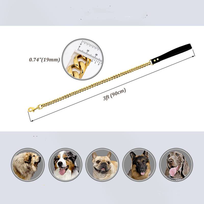 19mm Stainless Steel Golden Pet Dog Titanium Steel Leash - Minihomy