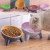 Cat Dog Bowl With Stand Pet Feeding Food Bowls Dogs Bunny Rabbit Nordic Color Feeder Product Supplies Pet Accessories - Minihomy