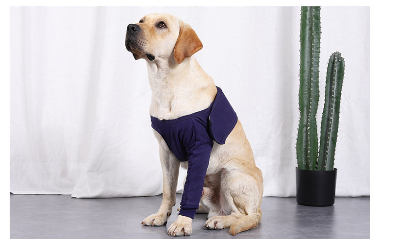 Anti-Licking Sleeve for Postoperative Recovery of Dog Legs - Pet - Minihomy