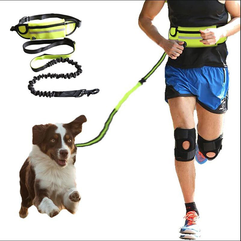 Hands Free Dog Leash: The Shock Absorbing Bungee Leash For Up To 180lbs Large Dogs - Minihomy