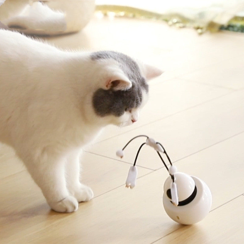 Electric funny cat toy