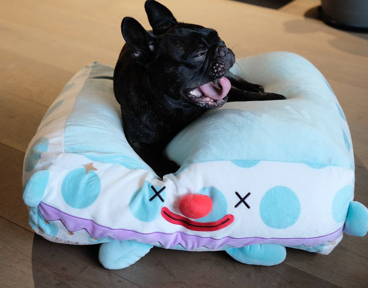 Clown Pet Sleeps In A Cozy Pet Bed
