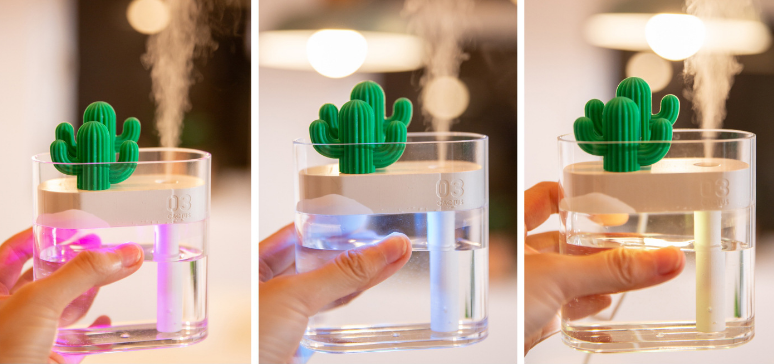 Transparent Cactus Humidifier