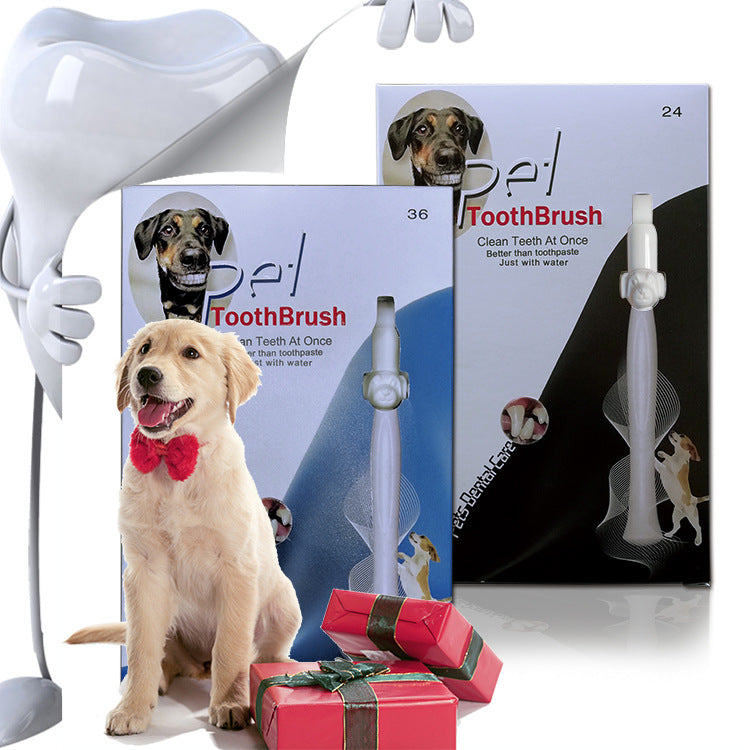 Pet Portable Tooth Cleaning Tool - Minihomy