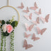 3d Three-dimensional Butterfly Wall Sticker Wall Decoration Sticker - Minihomy