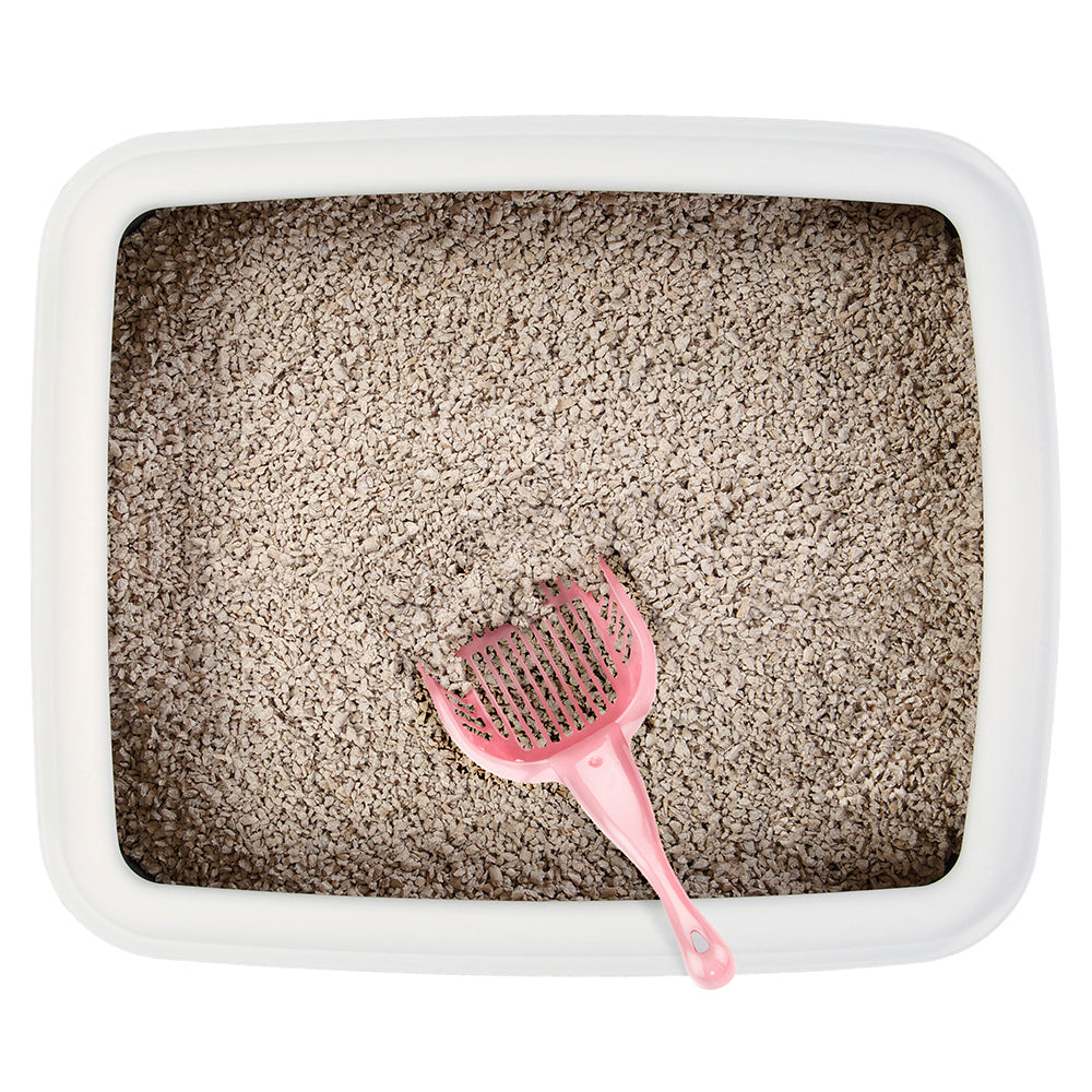 Coral Cat Litter Scoop with Reinforced Comfort Handle - Minihomy