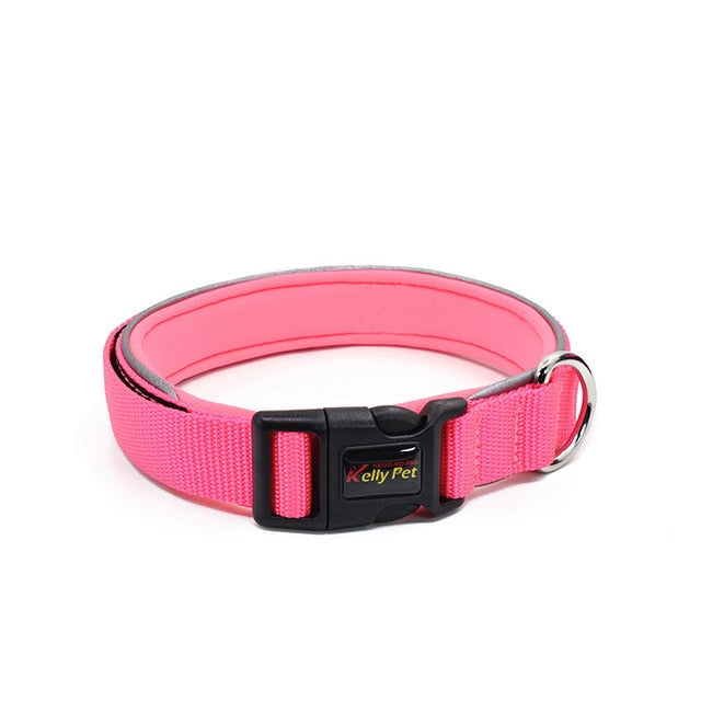 Diving material dog collar dog leash pet accessories