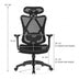 High Back Mesh Executive Chair with Adjustable Lumbar Support - Color: Black - Minihomy