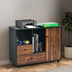 Mobile Filing Cabinet 2 Drawers with Open Shelves for Home and Office - Minihomy