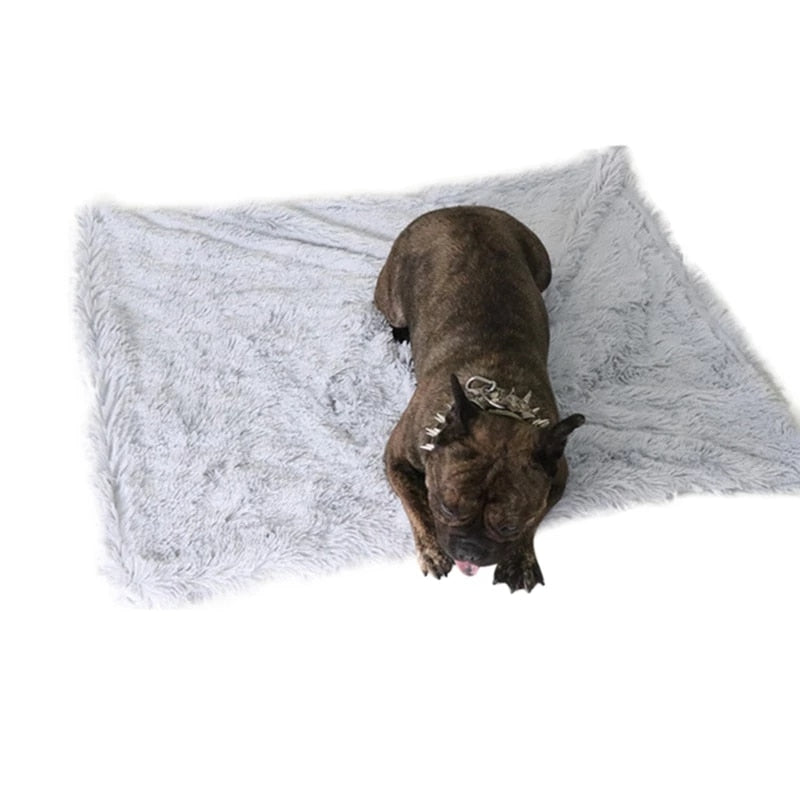 Plush mat double pet blanket - Minihomy