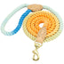 Creative One-to-two Double-headed Dog Walking Rope - Minihomy