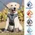 Breathable Mesh Dog Harness For Small And Medium Dogs - Minihomy