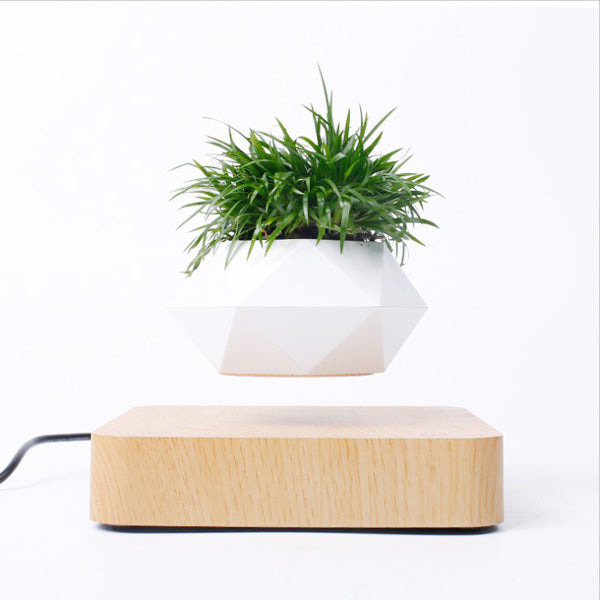 Magnetic Suspension Floating Pot Potted Plant Home Desk Decor - Minihomy