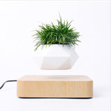 Magnetic Suspension Floating Pot Potted Plant Home Desk Decor - Minihomy