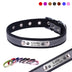 Personalized Dog Leather Collar - Minihomy